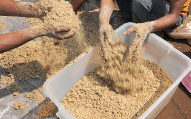 Cara Membuat Pelet Pakan Ikan Lele