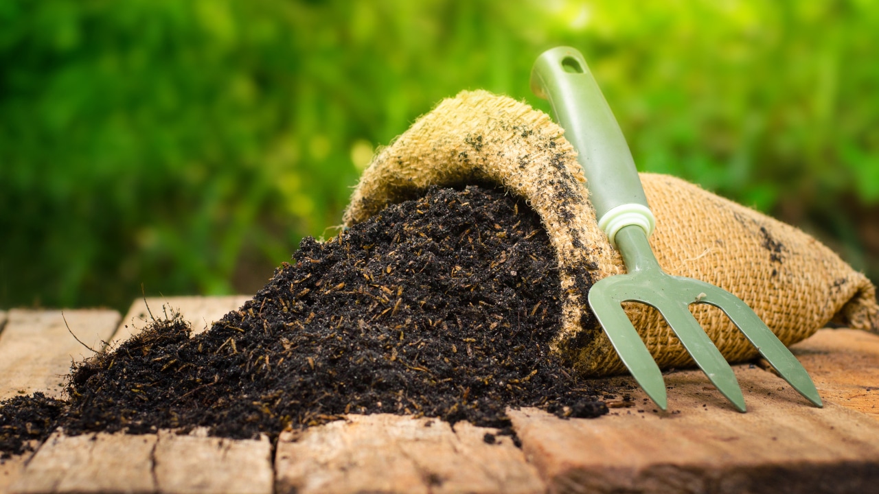 Cara Membuat Pupuk Organik Untuk Padi